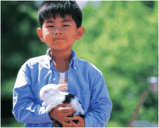 图片2.png