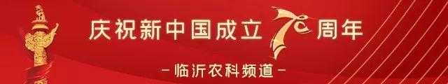 “节目单”来了！今天到十一，天天有亮点-1.jpg