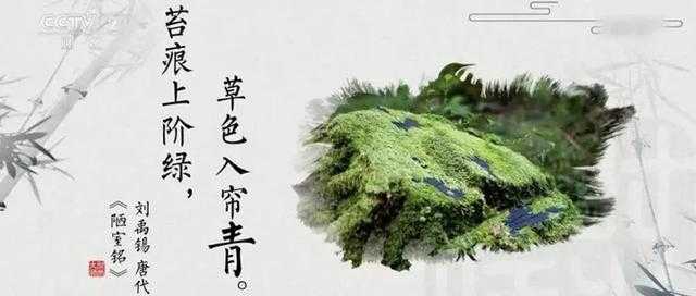 1019荐读：海棠红、天青色、月影白…中国色其实很高级-6.jpg