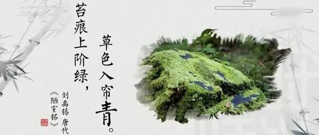 1019荐读丨海棠红、天青色、月影白……中国色其实很高级-7.jpg