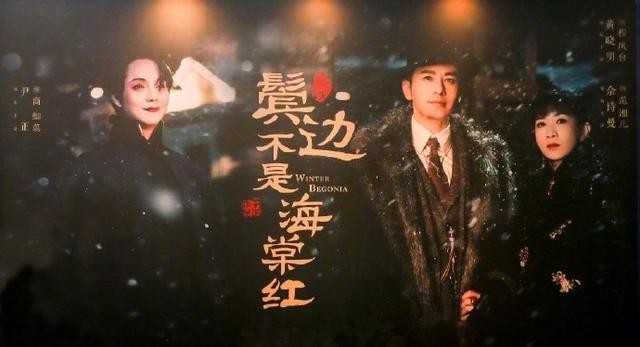 于正《鬓边不是海棠红》海报出炉，黄晓明颜值回归，佘诗曼像配角-6.jpg