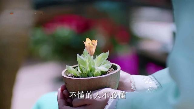 《海棠》剧本狗血，邓伦男主却很惊喜，三观太正，女主人设成反差-14.jpg