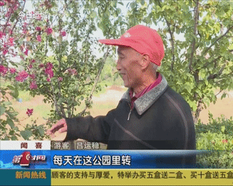 这里的海棠深秋盛开-3.jpg