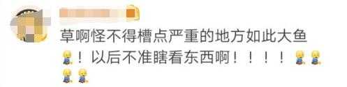 得知《天气之子》借鉴《大鱼海棠》后，网友评论太真实了-5.jpg