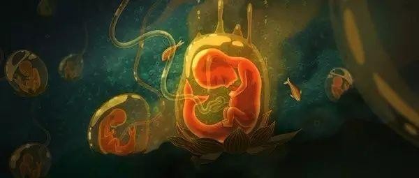 你有没有觉得《大鱼海棠》其实是讲了一个备胎的自我修养-3.jpg