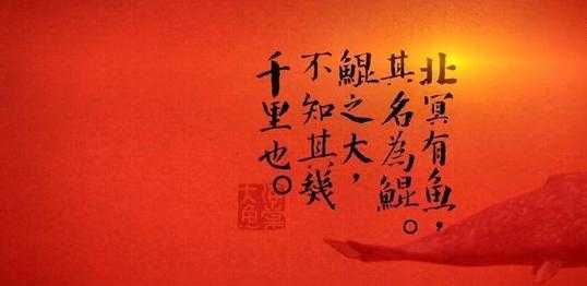《大鱼海棠》中楸的付出值得么？爱一个人就必须拼尽全力-5.jpg