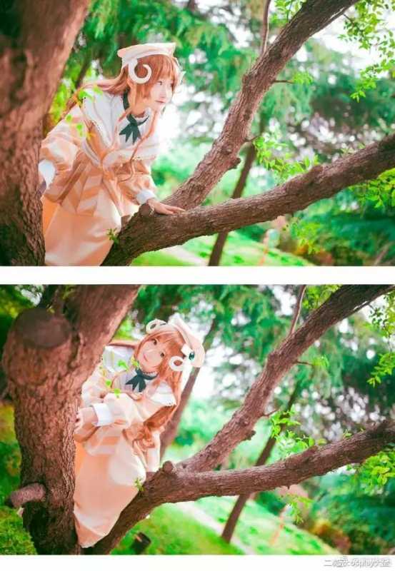 《黑塔利亚》角爱丽丝，萌萌哒甜美兽耳萝莉cos-9.jpg
