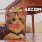 8faf3cccgy1fualqmeoi7g20g8091npg.gif