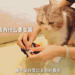 8faf3cccgy1fualr2ahbkg20g80917wo.gif