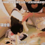 8faf3cccgy1fualqugbn9g20g8091kjq.gif