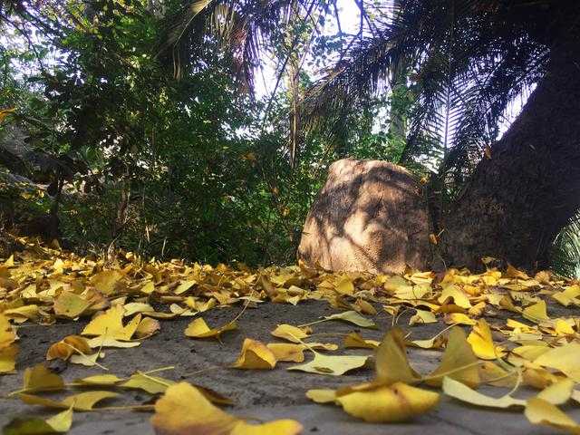 一个集巴蜀风情和江南柔情的静谧之地，更是观赏海棠的绝佳之所-5.jpg