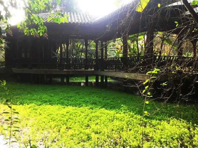 一个集巴蜀风情和江南柔情的静谧之地，更是观赏海棠的绝佳之所-9.jpg