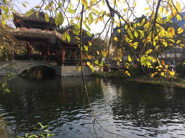 一个集巴蜀风情和江南柔情的静谧之地，更是观赏海棠的绝佳之所-10.jpg