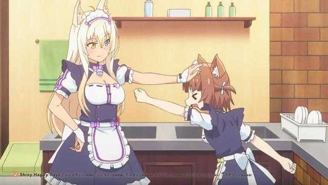 猛男必看1月新番，兽耳猫娘扎堆出场，这里是宅男天堂？-4.jpg