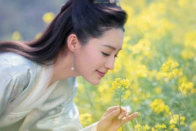 《庆余年》范闲身边4个女人：林婉儿最单纯，海棠才是灵魂伴侣？-1.jpg