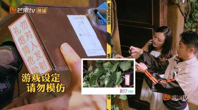 顶着压力，我们来聊聊这档网红综艺-31.jpg