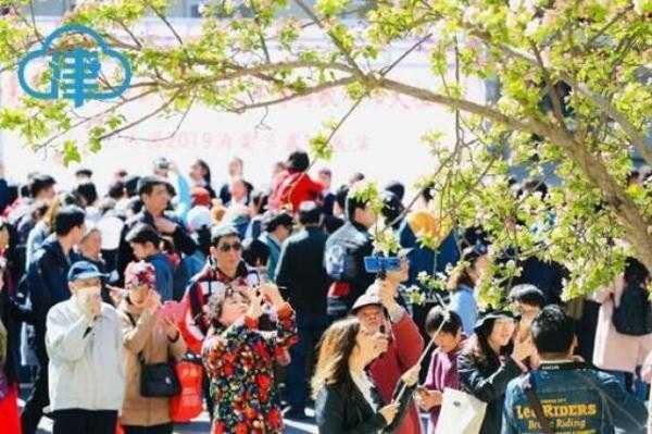 一片春心付海棠 来和天大海棠赴一场春天的约会吧-11.jpg