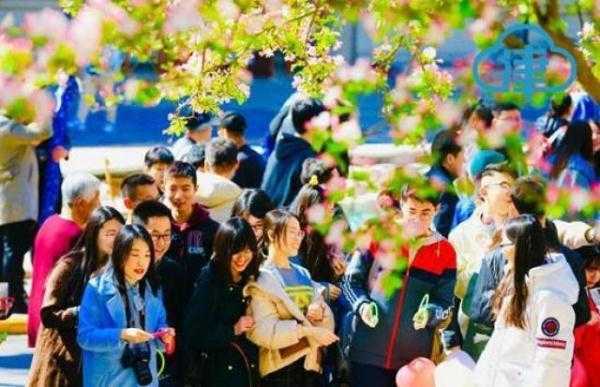 一片春心付海棠 来和天大海棠赴一场春天的约会吧-10.jpg