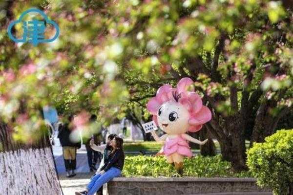 一片春心付海棠 来和天大海棠赴一场春天的约会吧-9.jpg