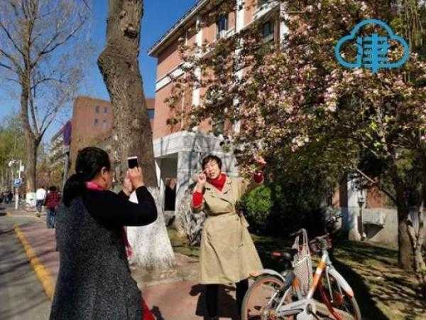 一片春心付海棠 来和天大海棠赴一场春天的约会吧-18.jpg