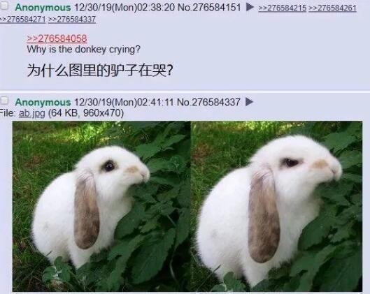 2019年最惨二次元角色，过年都没被放过，连外服都开始玩梗了-5.jpg