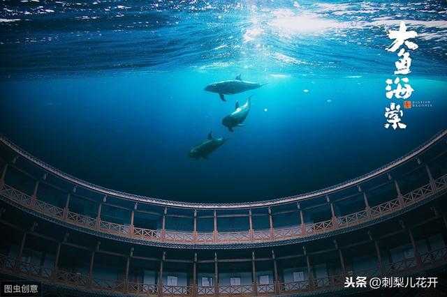 《大鱼》：我爱你，所以放手，助你去飞-1.jpg
