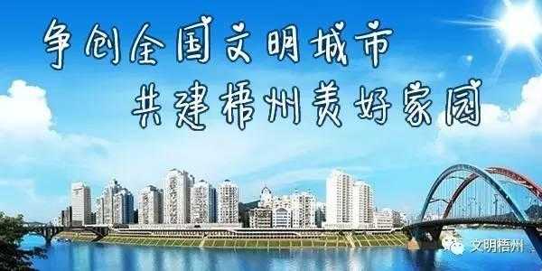 《中国共产党农村基层组织工作条例》印发，关于精神文明建设这样规定-2.jpg