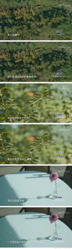 《你好生活》：寻找和世界更好相处的方式-5.jpg