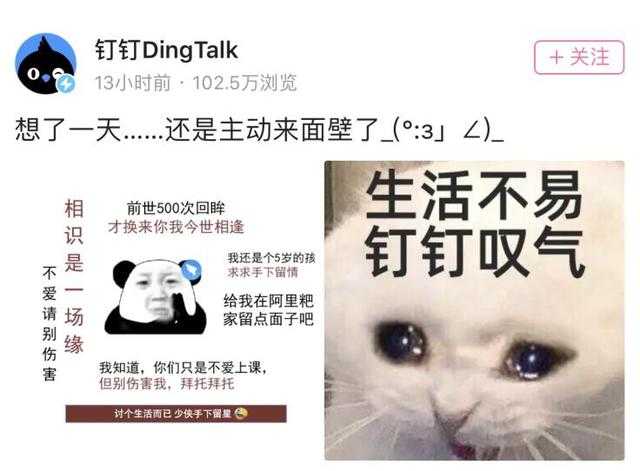 B站最强2级UP主，粉丝数超过40万，单视频播放量1500万-5.jpg