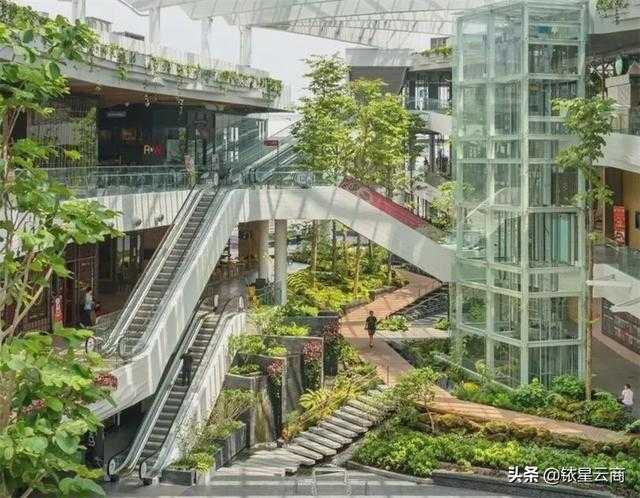 打造“硬核健康”购物中心被提到议事日程了？-9.jpg