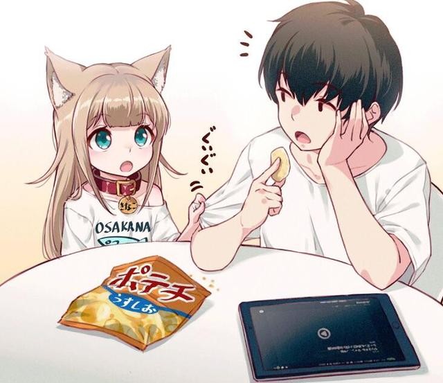 40原的小猫萌遍二次元，却让人想起10年前的动画，续集多久出？-1.jpg