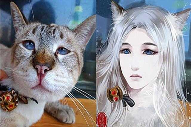 当三次元误入到二次元的世界，原本令人厌恶的生物都变得可爱多了-1.jpg