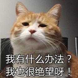 LOL客户端视觉升级遭玩家集体吐槽！玩家直言官方对BUG视而不见-3.jpg