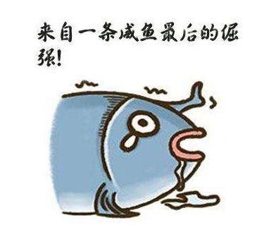 《天气之子》惨遭业界毒瘤TMA改编｜ACGN趣闻-5.jpg