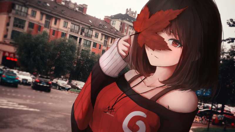 二次元ACG美图精选011-6.jpg