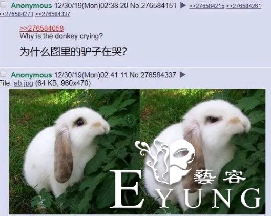 2019年最惨二次元角色，过年都没被放过，连外服都开始玩梗了-5.jpg