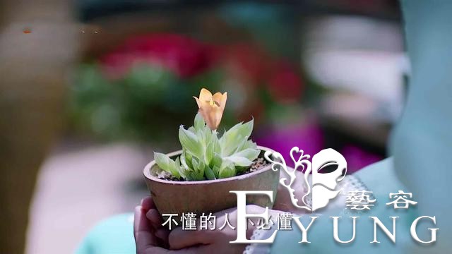 《海棠》剧本狗血，邓伦男主却很惊喜，三观太正，女主人设成反差-14.jpg