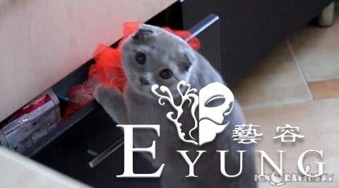 漫画介绍的女子防身术太凶残,这是要杀人吗?-10.jpg