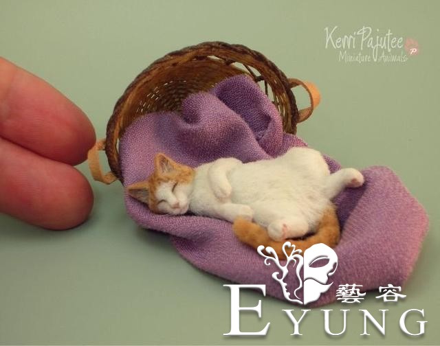 国外网友用猫的毛做了只“小猫”，真的超治愈-3.jpg
