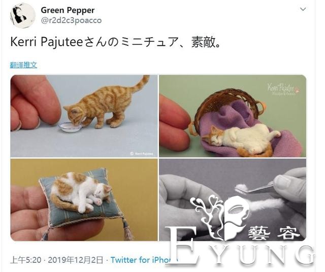 国外网友用猫的毛做了只“小猫”，真的超治愈-1.jpg