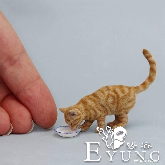 国外网友用猫的毛做了只“小猫”，真的超治愈-2.jpg