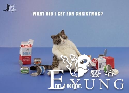 国外网友用猫的毛做了只“小猫”，真的超治愈-7.jpg