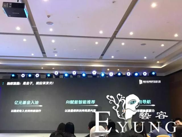 全球数字生态大会：腾讯ACGN内容分发详解-4.jpg