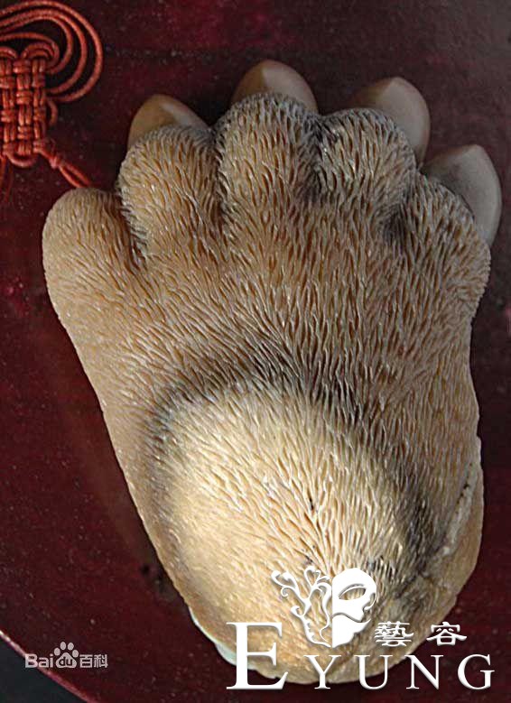 我发现一个穿帮，动画中的动物都只有4根手指？-1.jpg