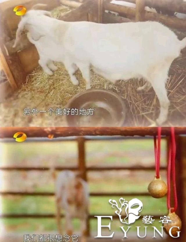 第一期阵容太强大，陈赫发文缅怀天霸，被网友称节目组陷版权风波-12.jpg