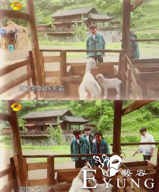 第一期阵容太强大，陈赫发文缅怀天霸，被网友称节目组陷版权风波-11.jpg
