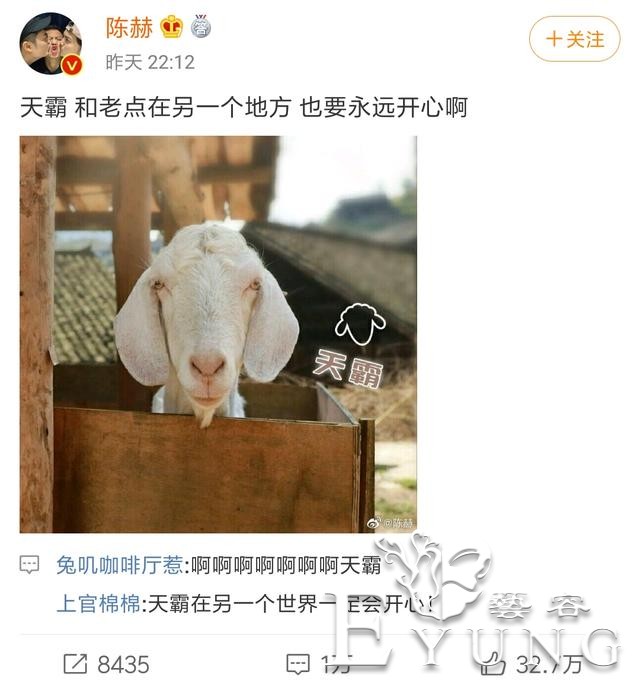 第一期阵容太强大，陈赫发文缅怀天霸，被网友称节目组陷版权风波-10.jpg