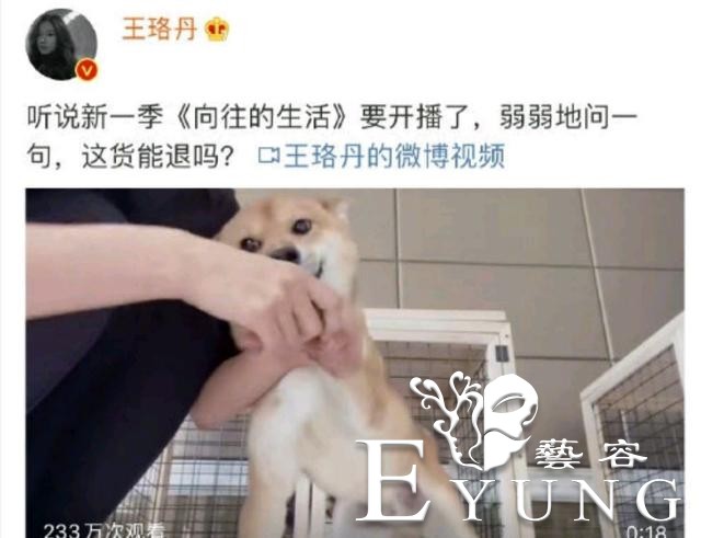第一期阵容太强大，陈赫发文缅怀天霸，被网友称节目组陷版权风波-14.jpg