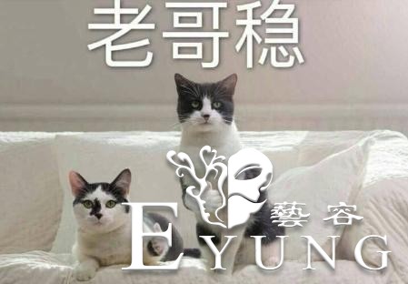 如果没有B站，你会在哪里追动画呢？-6.jpg