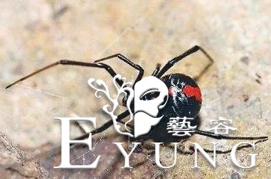 飞碟社社长偷税1亿3900万用来经营公司｜ACGN趣闻-15.jpg